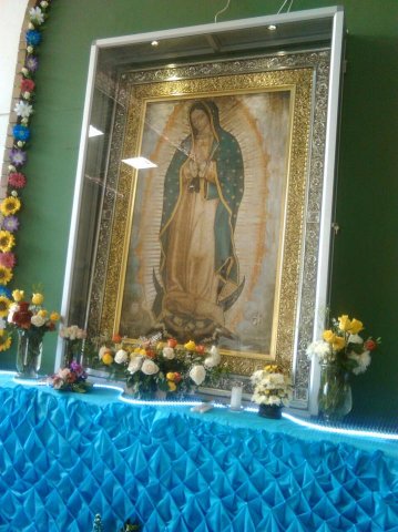 14184383_1106649199423176_358938542823724078_n